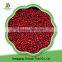 Chinese Organic Fresh Fruit Product Lingonberry
