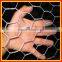 promotional !!! anping 3/4 inch galvanized hexagonal chicken wire mesh netting