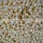 Fully automatic pet food processing machine/animal food line