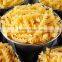 China Small Scale Industrial Macaroni Making Machine Pasta Machine