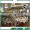 Advanced Sanshon Shrimp Washing and Grading Machine