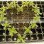 50 cell, 512 cell plastic seed cell plug tray