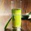 Regular cylinder shaped clear tea cup water glass