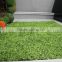 2015 high quality plant artificial green wall factory direct sale fake grass plant wall