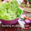 New Design Salad bowl plastic / plastic salad bowl