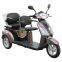 High Quality Electric Disabled Scooter in special offer, Electric Mobility Tricycle with Double Deluxe Saddle