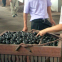 dia.70,80mm casting iron grinding balls, alloy casting chromium grinding media balls