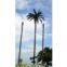 Coconut tree tower