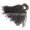 Fast Delivery Online Shop 100% Unprocessed Wholesale Tangle Free No Shedding Curly Raw Virgin Indian Hair