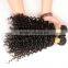 Thick Ends High Quality Wholesale Indian Hair, Double Drawn No Shed Virgin Indian Curly Hair