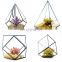 geometric terrarium geometric glass terrarium wholesale Lead-free