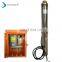 100W Solar Pumping System High Pressure Deep Well Submersible Water Pump