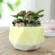Macaron plant pot small fresh coarse pottery tabletop ceramic flowers with holes