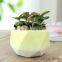 Macaron plant pot small fresh coarse pottery tabletop ceramic flowers with holes