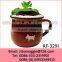 Belly Shape Professional Wholesale Ceramic Flower Vase and Flower Pot