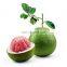 Vietnam Premium Quality WHOLE IQF Carton Common Cultivation Type Frozen Fruits For Dessert Snack Baking