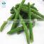 Sinocharm BRC-A approved IQF green beans  cut Frozen green beans