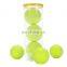 ITF Approved Cans Package Cricket Balls Training Tennis Ball Tube