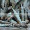 Hot sale Frozen Fish Sardinella lemuru Whole Round Exporting