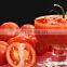 Schlüsselfertiges Projekt für die Herstellung und Verarbeitung von Tomatenmark