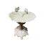 Heavy Duty Cast Iron Standing bird bath with 2 decorative birds cream shell