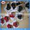 Cycling Mouth-muffle /Dust mask filter /dust respirators & high quality dust mask