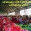 best selling superior quality tubular pp mesh bags 22kg,tengzhou mesh bags