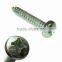 China cheap Phillips pan head self tapping screw(pan head self tapping screw)