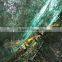 safety net for fruit/olive net factory meat netting packing