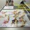 3m vinyl uv printer large hybrid uv vinyl printer for outdoor