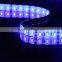 Cheap 14.4W 5050 12V CE RoHS LED Strip Light                        
                                                Quality Choice