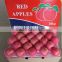Red fresh apple fruit exporter/bulk sweet red apple exporter