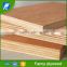 Guangxi Factory wood eucalyptus veneer export 4x8