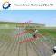 High efficiency rice weeder for paddy field