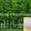 Agriculture grade SAP Super Absorbent Polymer using as water retention agent