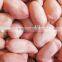 New Crop Peanut kernels ,long and round type for sale