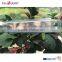 telescopic plastic tubes for packaging QP