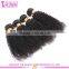 Malaysian afro kinky curly virgin hair hot sells malaysian high quality malaysian curly hair