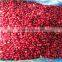Frozen Lingonberry