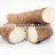 China manufacture and supplier of wild yam powder