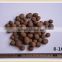 Hydroball Lightweight Expanded Clay AggregatesTerrarium Substrate