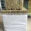 rock wool cubes for seed starting