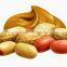 Direct Factory electric peanut butter maker for sale