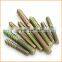 Hot Sales High Quality Double Thread Zinc Plate Hanger Bolt