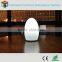 16 color change wireless remote control battery operated egg shape LED table lamp