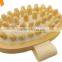 Cy302 Cellulite Circulation Massage Brush Hot Selling on Amazon