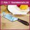 FDA/LFGB Standard Mutifunctional Pizza Cheese Cutting Tools Of Pizza Cheese Shovel