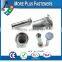 Made In Taiwan Special Screws Self Tapping Screw Round Head Slotted Square recess Combi Self Tapping Screw Pin Nut with Knurl