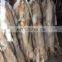 Dressed coyote skins ready for garments use