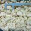BRC A Approved Wholesale IQF Cauliflower Floret 3-5cm Frozen Cauliflower from China